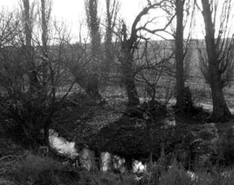 20100301012704-trabancos-rio